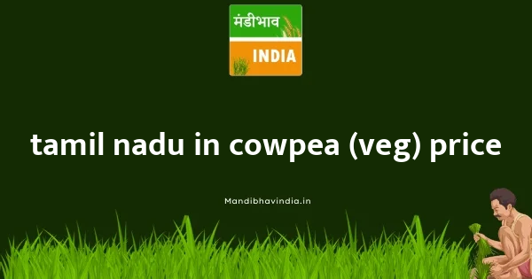 Cowpea (Veg) Price